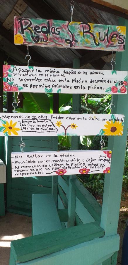 Cabana Vistas Del Bosque Jarabacoa Kültér fotó